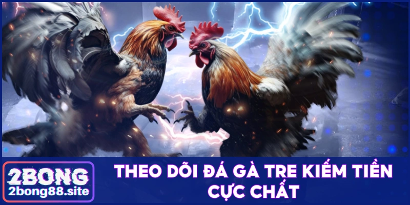 Theo dõi đá gà tre tìm kiếm cơ hội kiếm tiền hấp dẫn 1 Đá gà tre