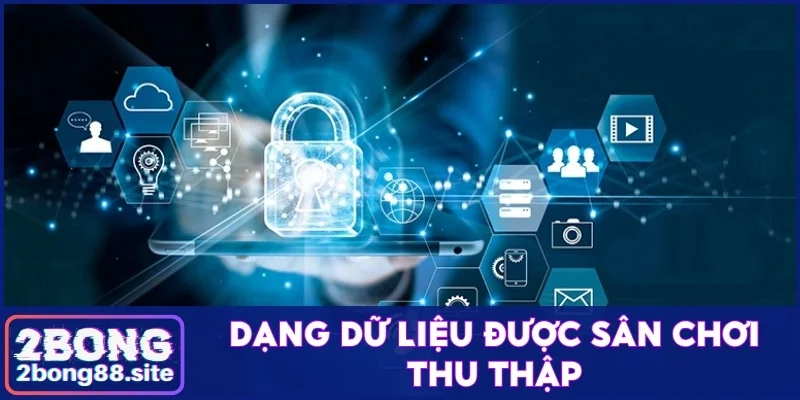Chính sách bảo mật 2Bong và quy định hội viên cần nắm rõ 2 Dạng dữ liệu được sân chơi thu thập