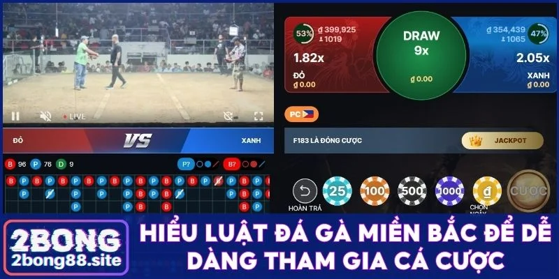 Luật đá gà miền Bắc cập nhật năm 2025 cực đầy đủ và chi tiết 2 Hiểu luật đá gà miền Bắc để dễ dàng tham gia cá cược