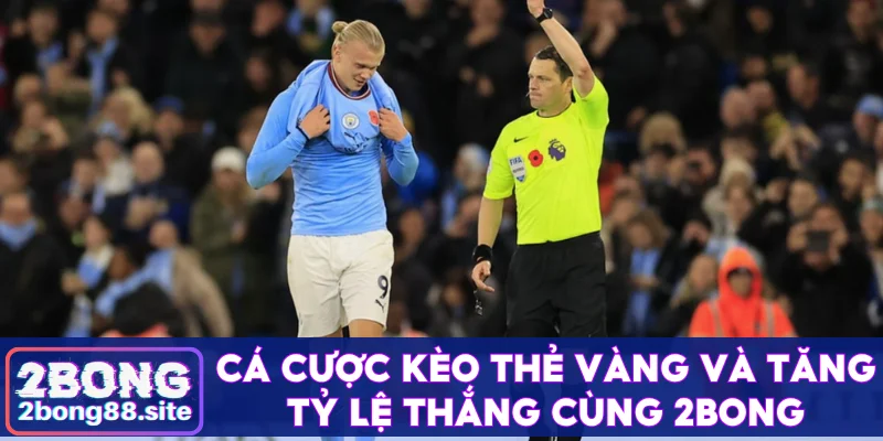 Cá cược kèo thẻ vàng và tăng tỷ lệ thắng cùng 2Bong 1 Kèo thẻ vàng