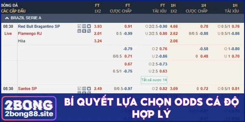 Tỷ lệ kèo trong thể thao và yếu tố ảnh hưởng đến hệ số 4 Kinh nghiệm chọn odds phù hợp để cá cược