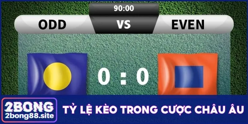 Tỷ lệ kèo trong thể thao và yếu tố ảnh hưởng đến hệ số 3 Odds trong các lựa chọn đầu tư kèo châu Âu