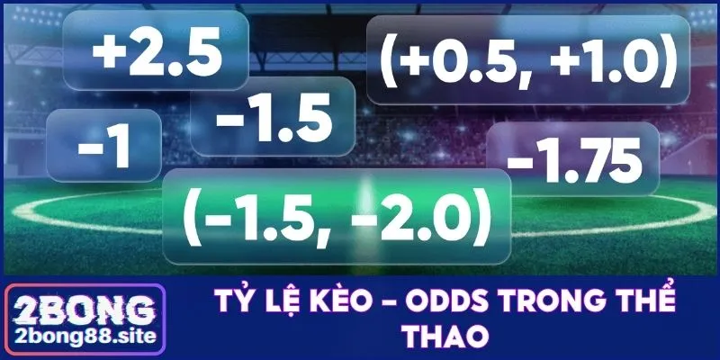 Tỷ lệ kèo trong thể thao và yếu tố ảnh hưởng đến hệ số 1 tỷ lệ kèo
