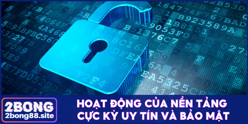 Trang chủ 34 Hoạt động của 2Bong cực kỳ uy tín và bảo mật